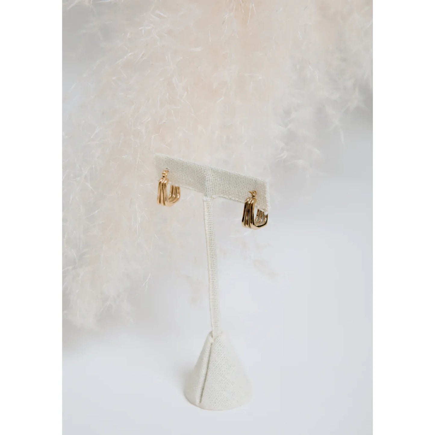 Hollow Earring